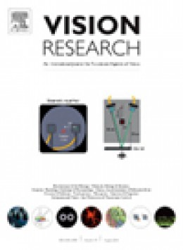 Vision Research