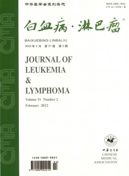  Leukemic lymphoma