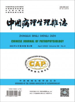  Chinese pathophysiology