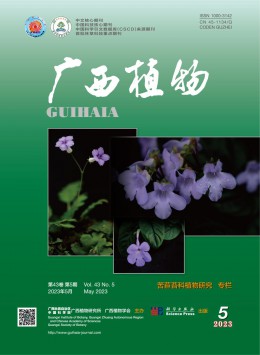 Guangxi Journal of Botany