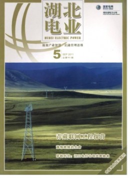  Hubei Electric Power